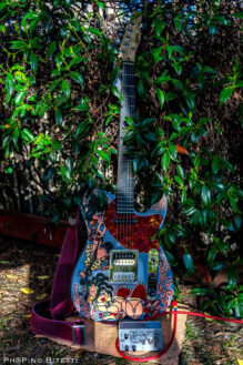 bittoguitars BITTO Telecustom Thinline Burns brigantelle